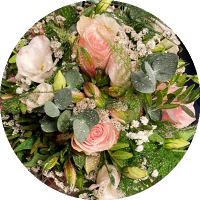 rose-dallan-ilva